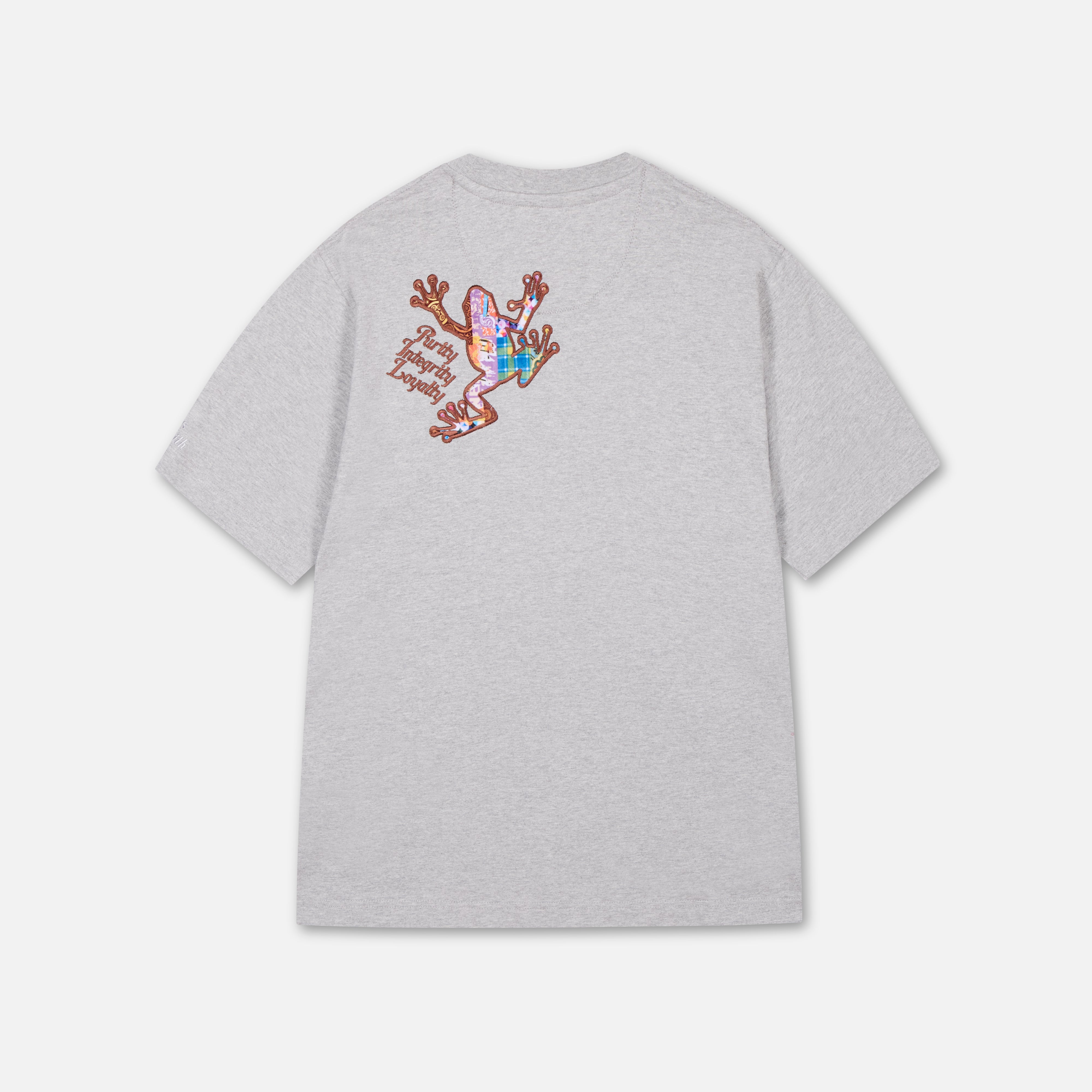 Anura T-Shirt Grey-2
