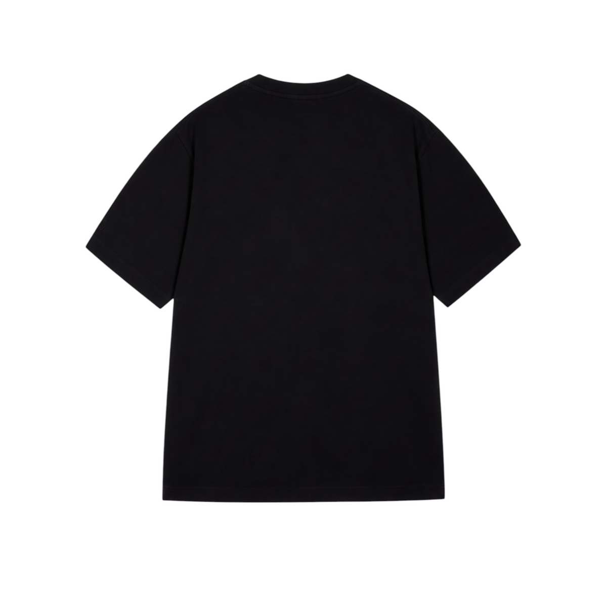 Flag-Life T-Shirt Black back